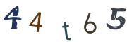 CAPTCHA obrazkowa